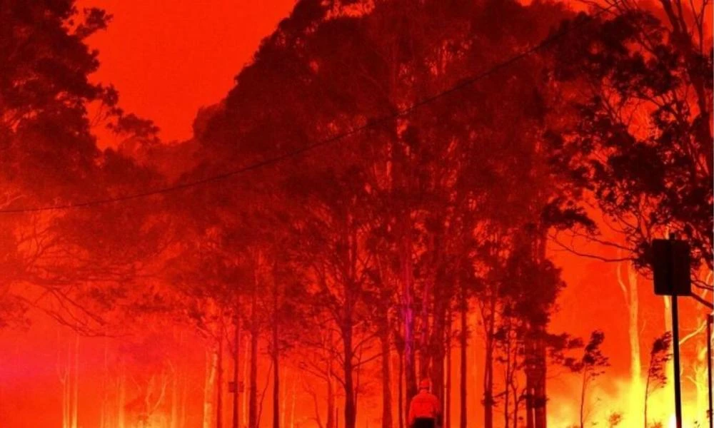 Αυστραλία: Ακραίο κύμα καύσωνα - Αυξάνεται ο κίνδυνος πυρκαγιών